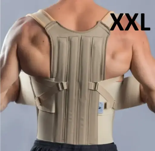[0020064] FAJA DORSO LUMBAR UNISEX C/BEIGE (T/XXL)